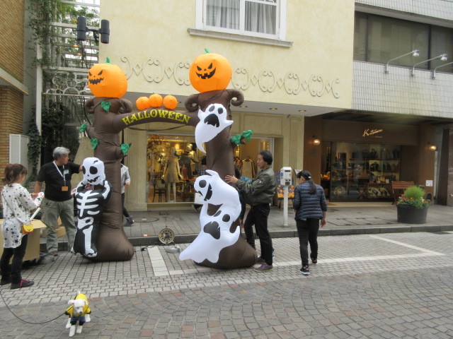 【横浜元町】Happy Halloween!_b0009849_16532928.jpg