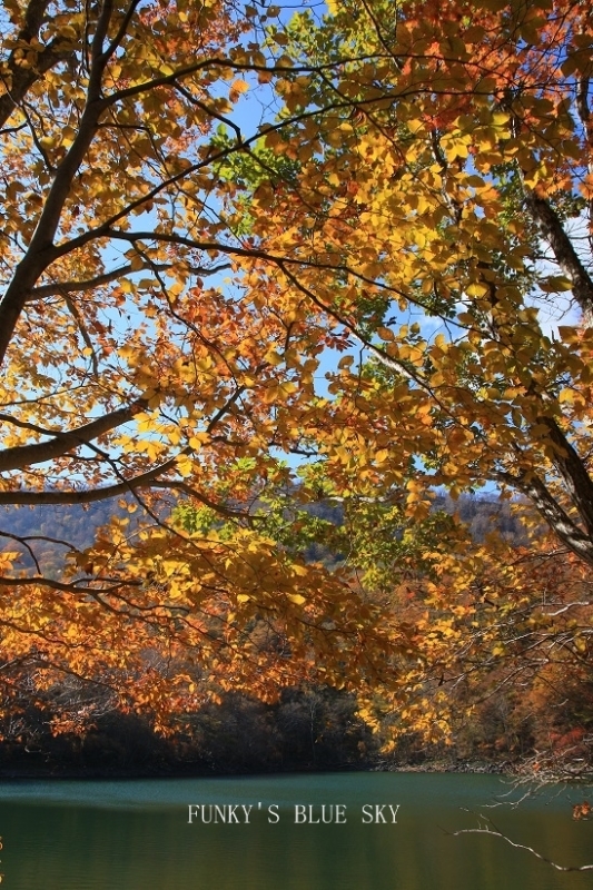 c0145250_16574557.jpg
