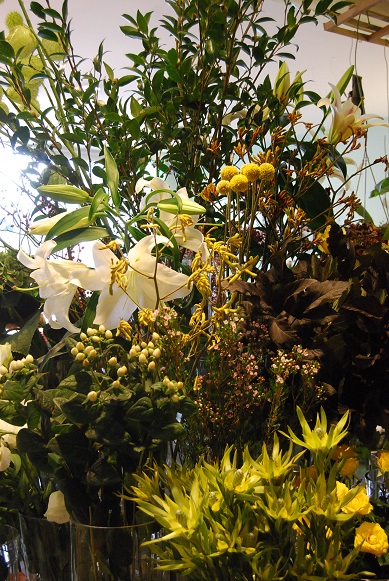 a0201358_15281287.jpg