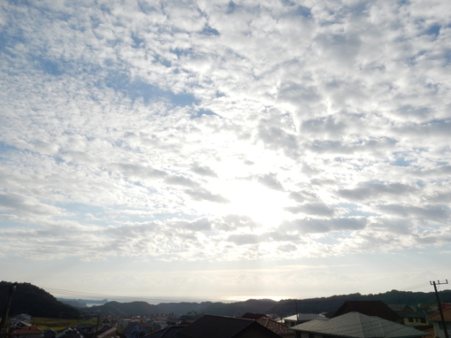 ’16,10,31(月)太陽と海と猫と散歩!_f0060461_1002049.jpg