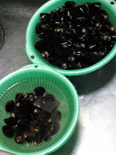 c0162773_00535010.jpg