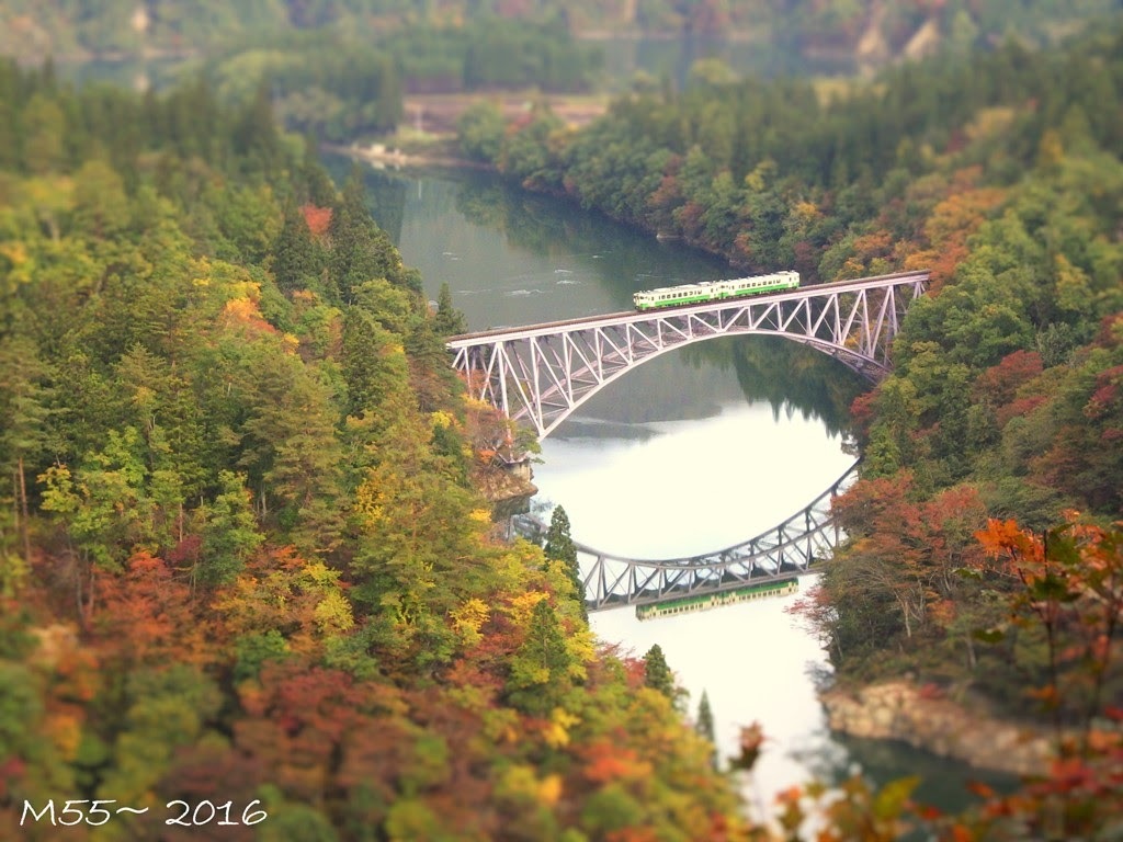 b0080681_19595073.jpg