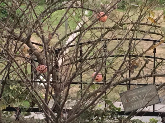 b0336787_23533254.jpeg