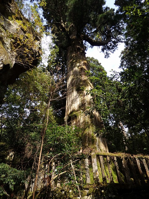 d0326888_10201249.jpg