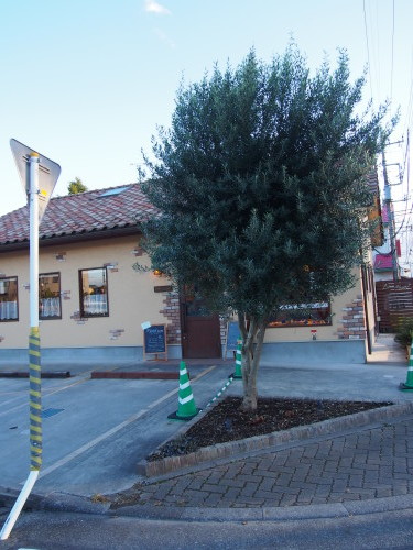 a0300098_18481301.jpg