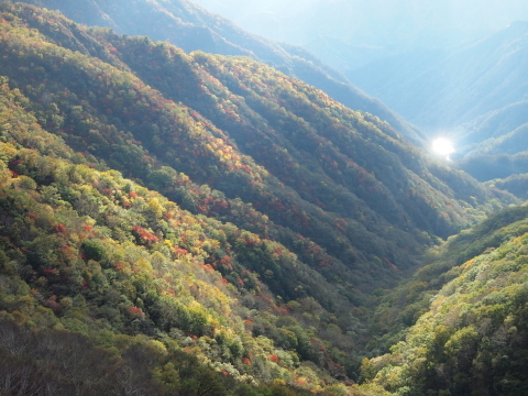 秋のお出かけ･･････日光３_b0331802_00443079.jpg