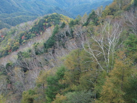 秋のお出かけ･･････日光３_b0331802_00443389.jpg