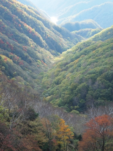 秋のお出かけ･･････日光３_b0331802_00452077.jpg