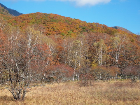 秋のお出かけ･･････日光４_b0331802_21374391.jpg