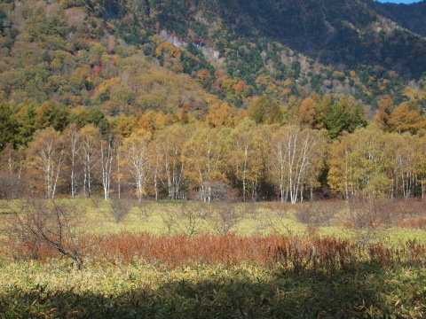 秋のお出かけ･･････日光４_b0331802_21394283.jpg