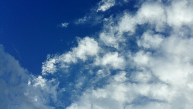 d0093903_08151802.jpg
