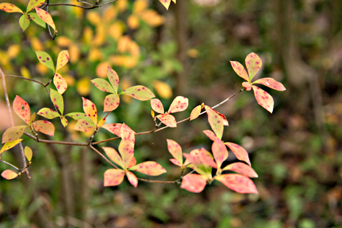 b0014607_20195444.jpg