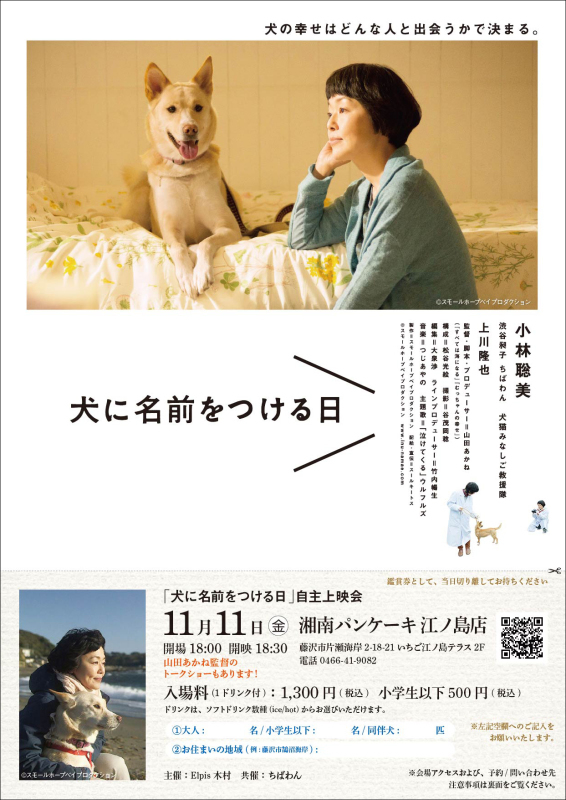 犬に名前をつける日in藤沢 わんコロ預かりブログ 犬に名前をつける日in藤沢 わんコロ預かりブログ