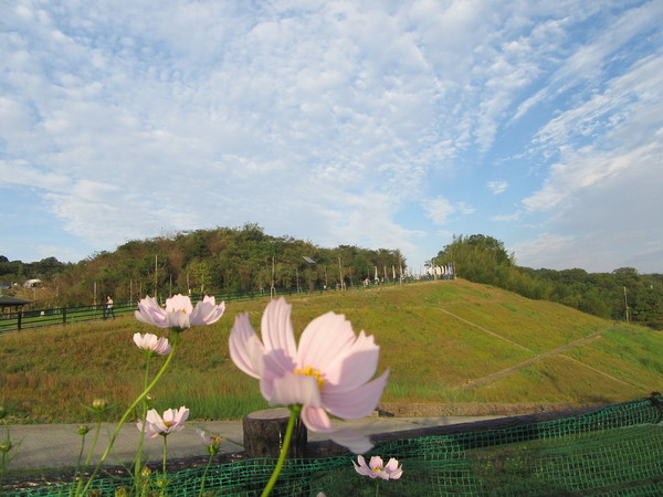 f0231709_020169.jpg