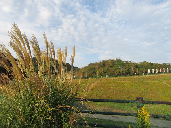 f0231709_0204313.jpg
