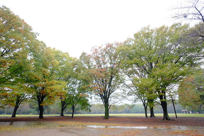 初 カール!_e0000910_132959.jpg