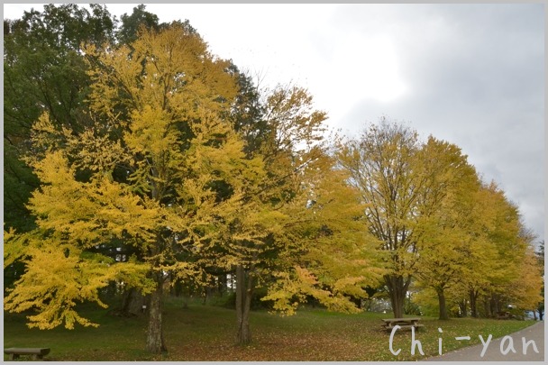 紅葉の山を撮りたくて安曇野・松本へ（２）_e0219011_1835205.jpg