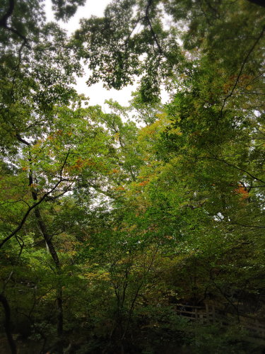 c0227612_08413652.jpg