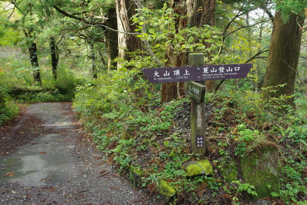 d0341514_20412674.jpg