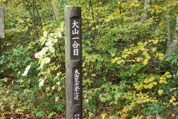 d0341514_20565612.jpg