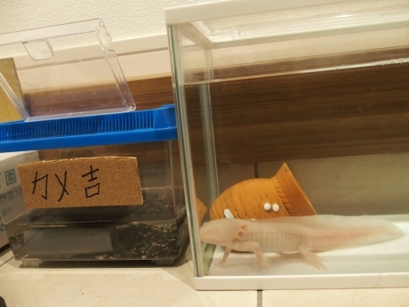 b0274815_07035085.jpg