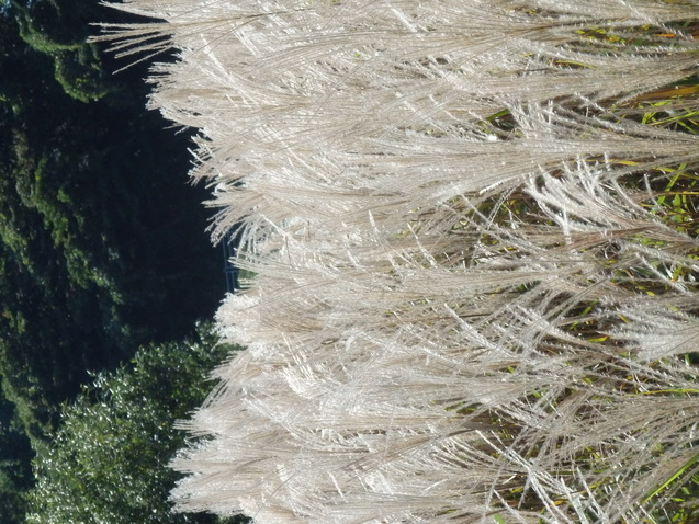 b0289815_846125.jpg