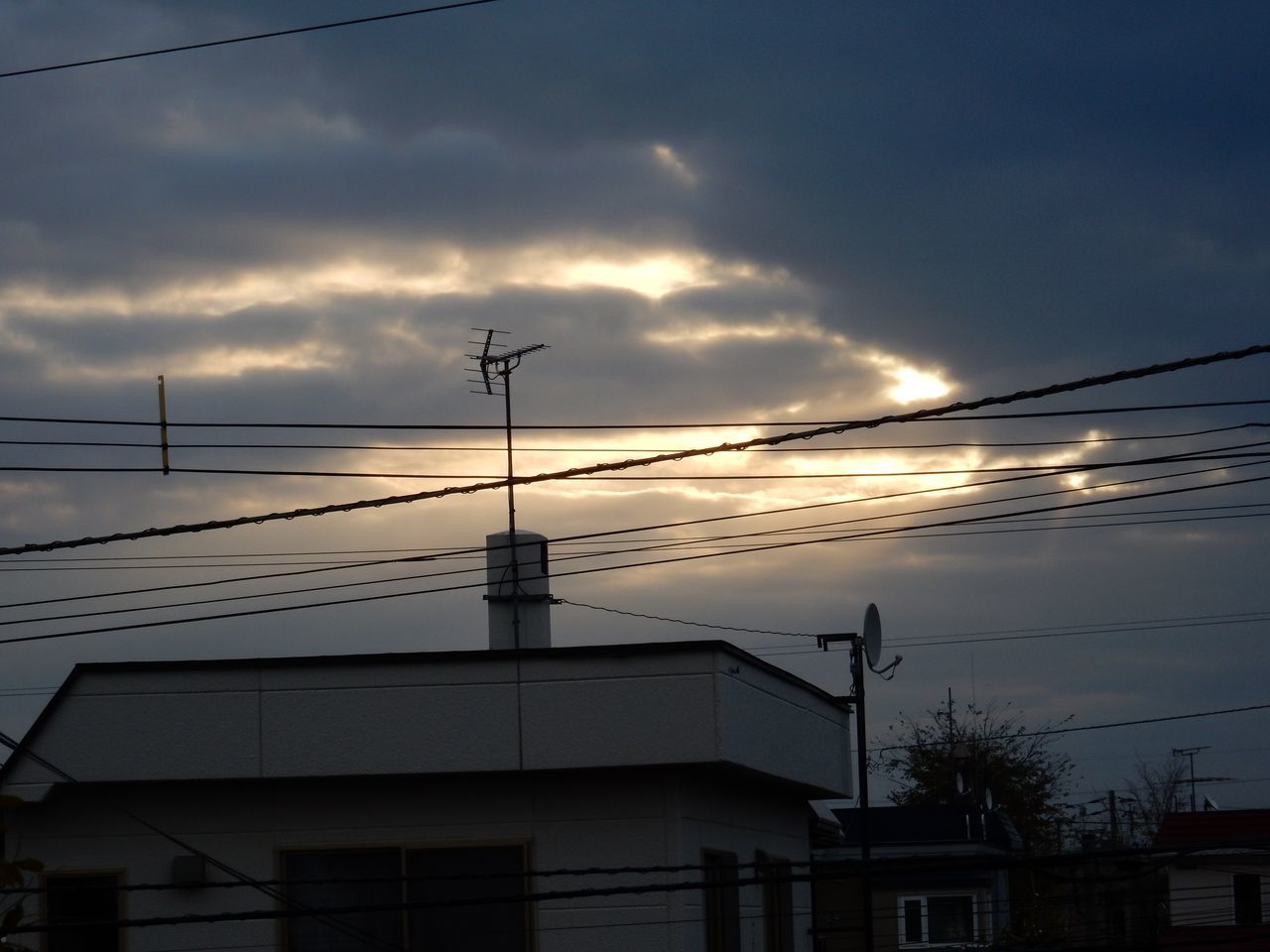 冷蔵庫の中で_c0025115_23422920.jpg