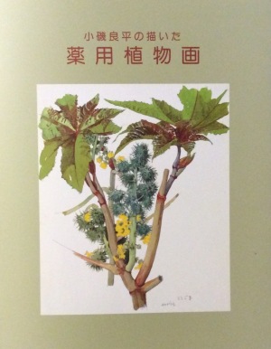 11月、小磯良平「描かれた花々」から始まった : 風のとおる家から