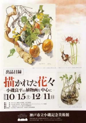 11月、小磯良平「描かれた花々」から始まった_b0344816_17525154.jpeg