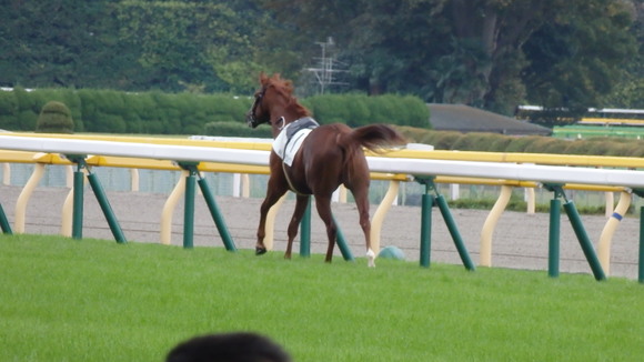 b0020017_141321100.jpg