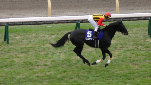 b0020017_1434843.jpg