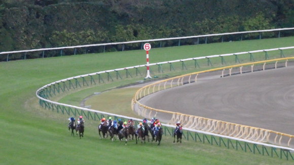 b0020017_14373526.jpg