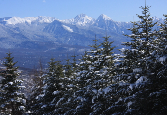 霧ヶ峰・車山から残雪の八ヶ岳連峰を望む　_a0113718_04570515.jpg