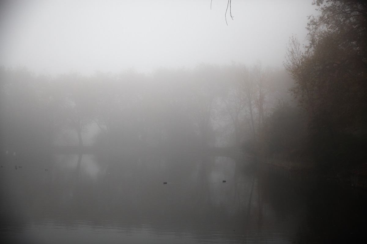 c0249519_544153.jpg