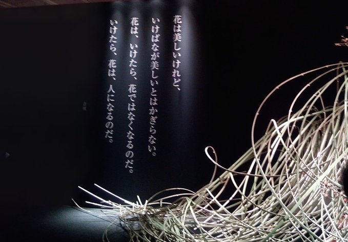 f0207320_18272414.jpg