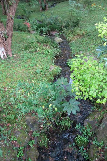 f0147025_17544681.jpg