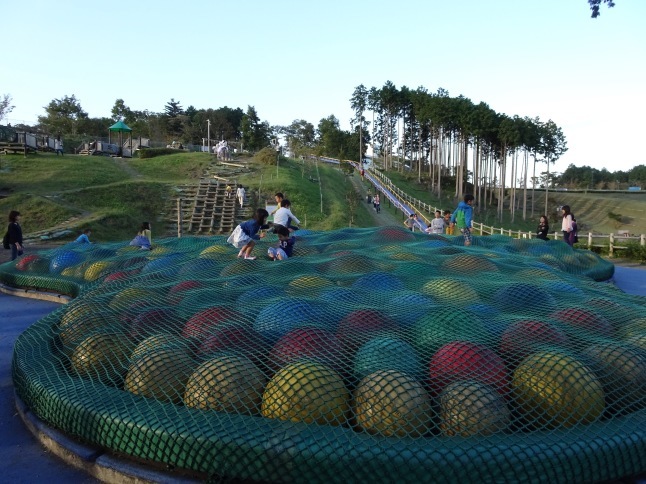 f0106727_11364609.jpg