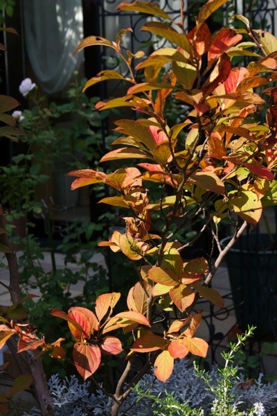e0021328_00213091.jpg