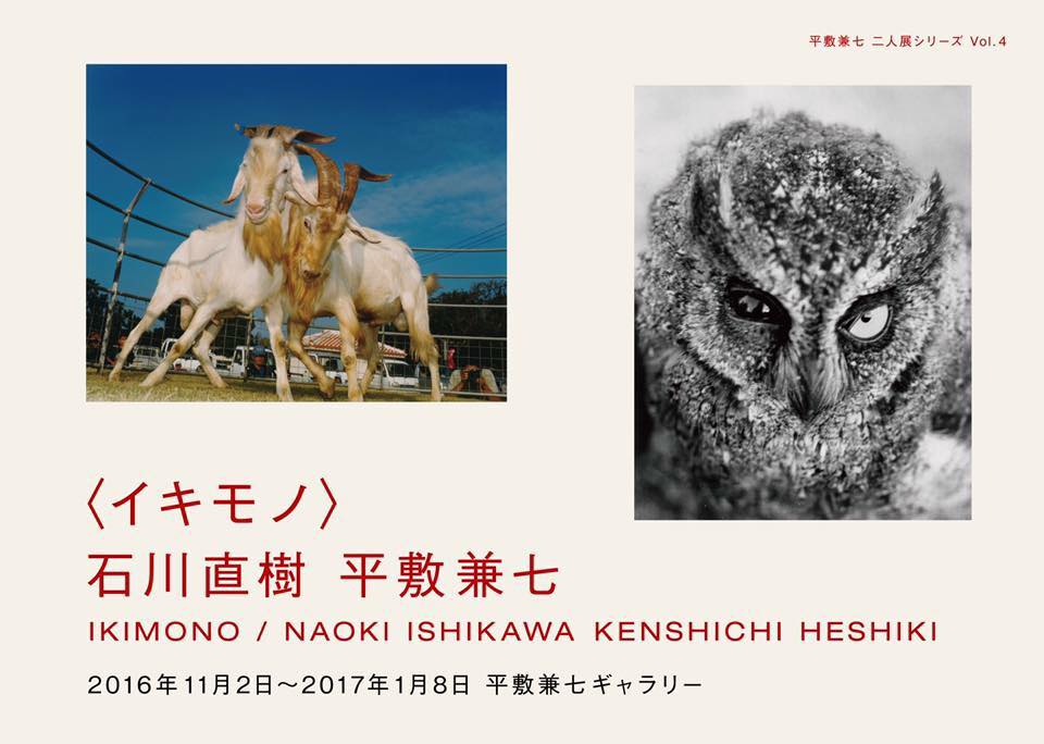 石川直樹氏 展覧会「石川直樹x平敷兼七 イキモノ」_b0187229_1342308.jpg