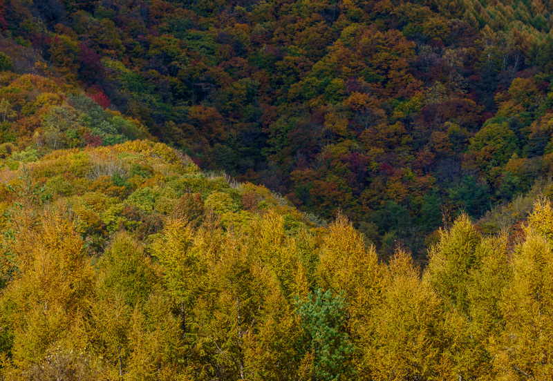 f0237034_23542183.jpg