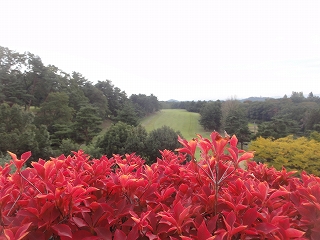 c0147935_2056337.jpg