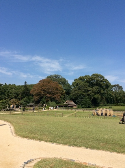 a0188838_15313905.jpg