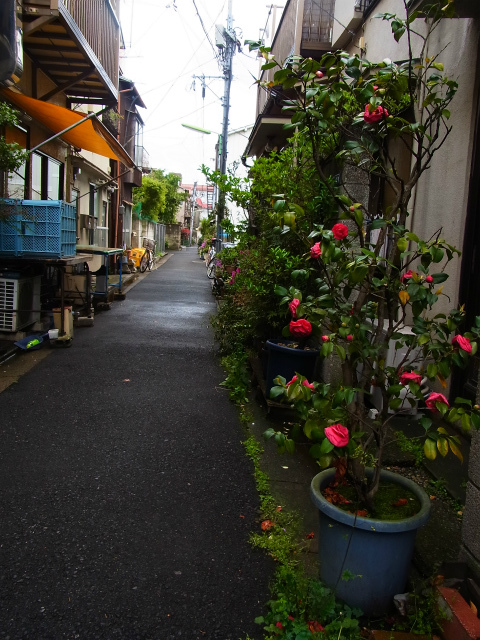 a0087341_15384702.jpg