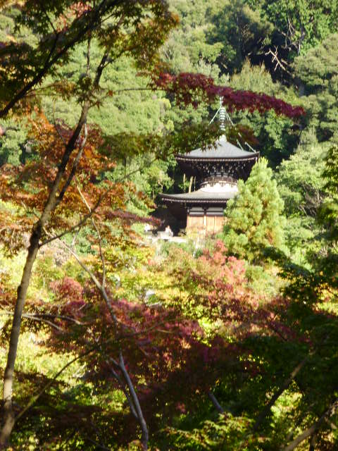 e0060041_18462534.jpg