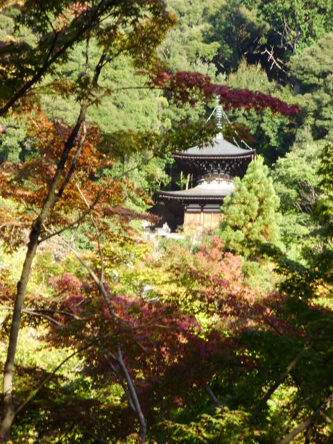 京都美術鑑賞とスケッチ旅行_e0060041_18462534.jpg