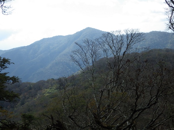 e0164643_2092928.jpg