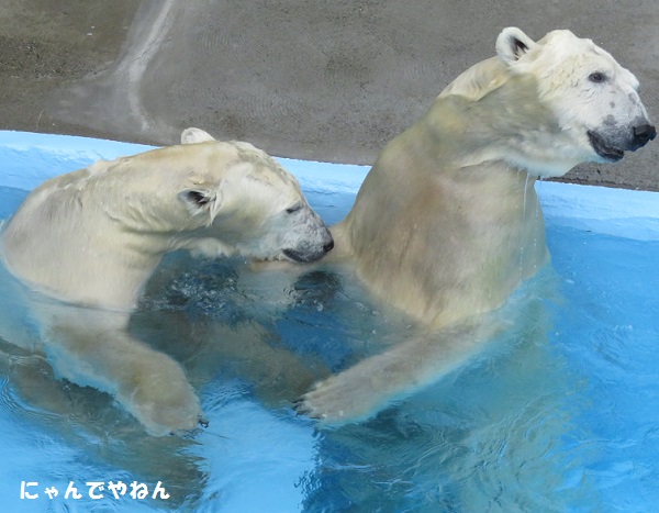 f0002743_102942.jpg