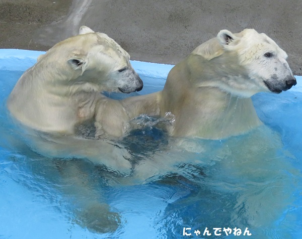 f0002743_10782.jpg