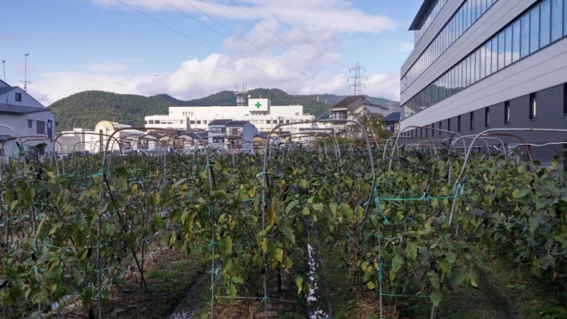 c0333144_17401255.jpg