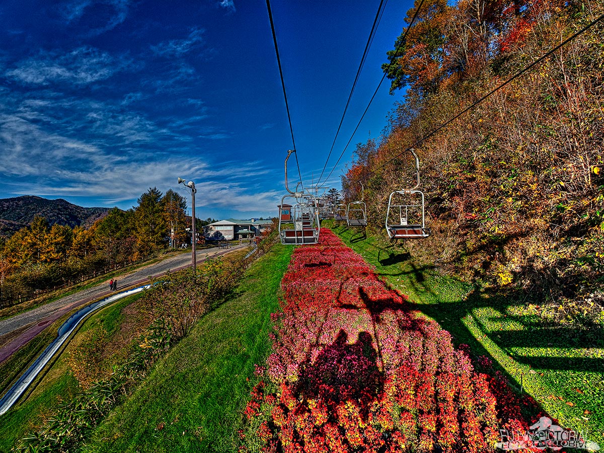 b0135347_084990.jpg